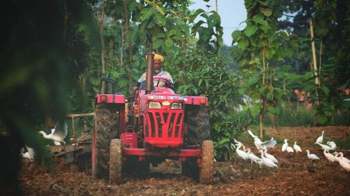 64% of World’s Farmland at Risk From Pesticide Pollution; Study