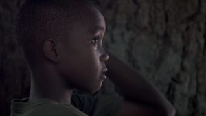 Climate change Malaria and dengue could affect 8 billion people