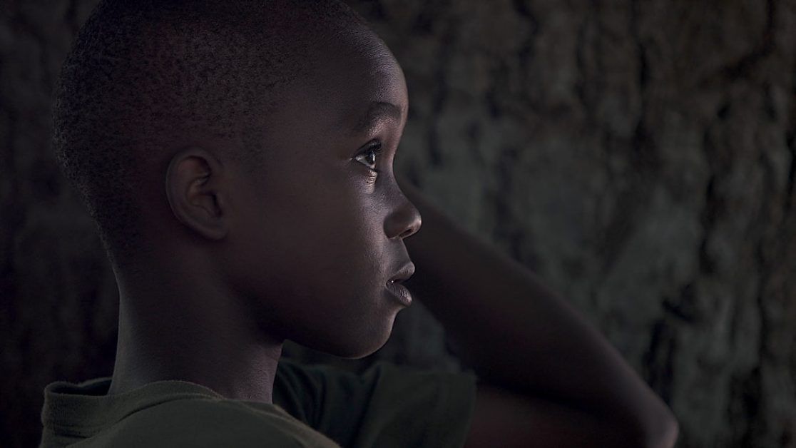 Climate change Malaria and dengue could affect 8 billion people