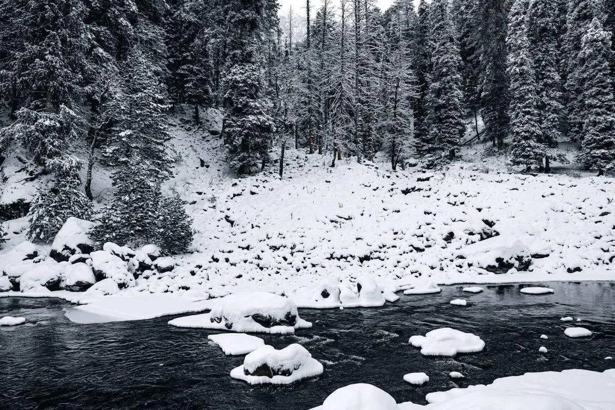 Places to visit in Kashmir to see Snowfall