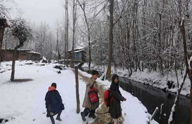 Cold wave grips Kashmir, weatherman forecast more dip in temperatures
