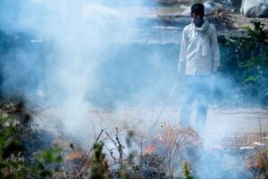 Pollution deaths in the year 2019, Data