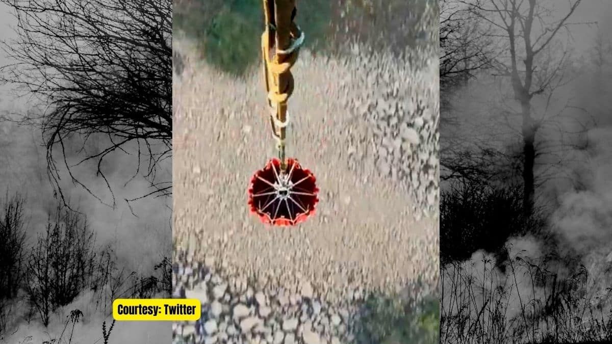 Sariska Forest Fire: क्या क्लाइमेट चेंज है इसके लिए ज़िम्मेदार?
