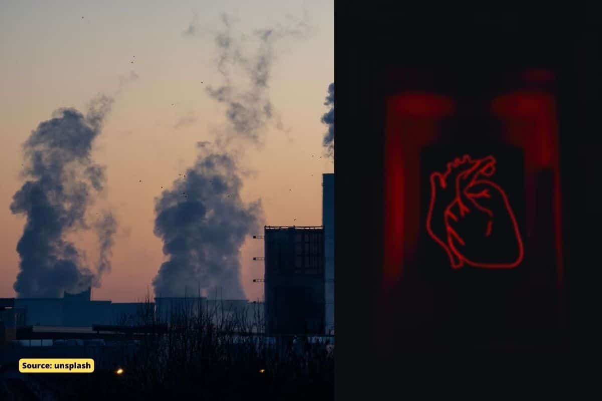Air pollution can cause heart attack within an hour: Study