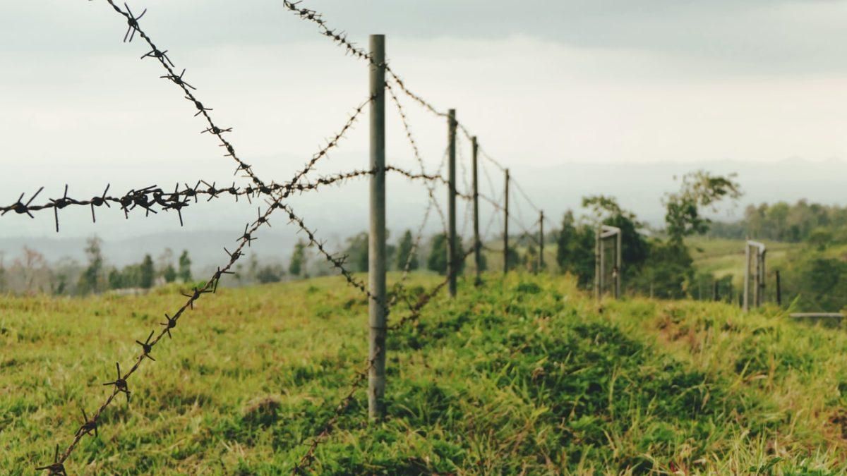 The year of 'peace' along LoC in Jammu and Kashmir