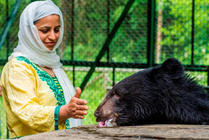 wildlife rescue