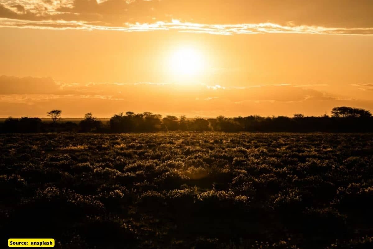 What is the highest temperature on earth observed ever?