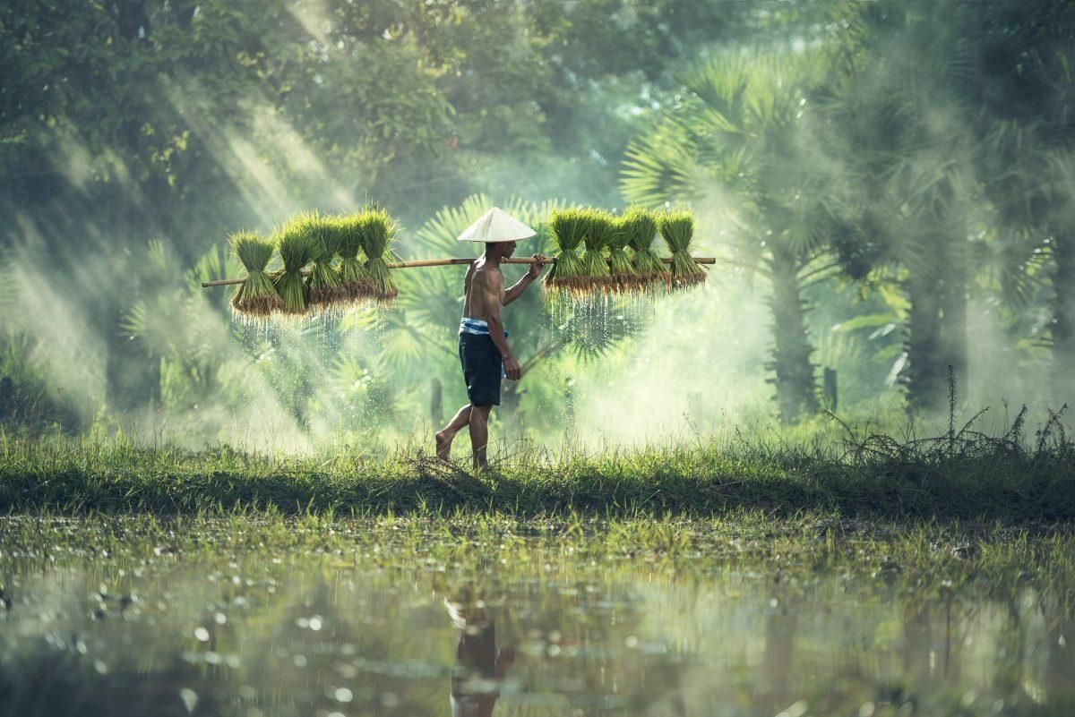PM Kisan Yojna: What is New Rule to check balance Status?