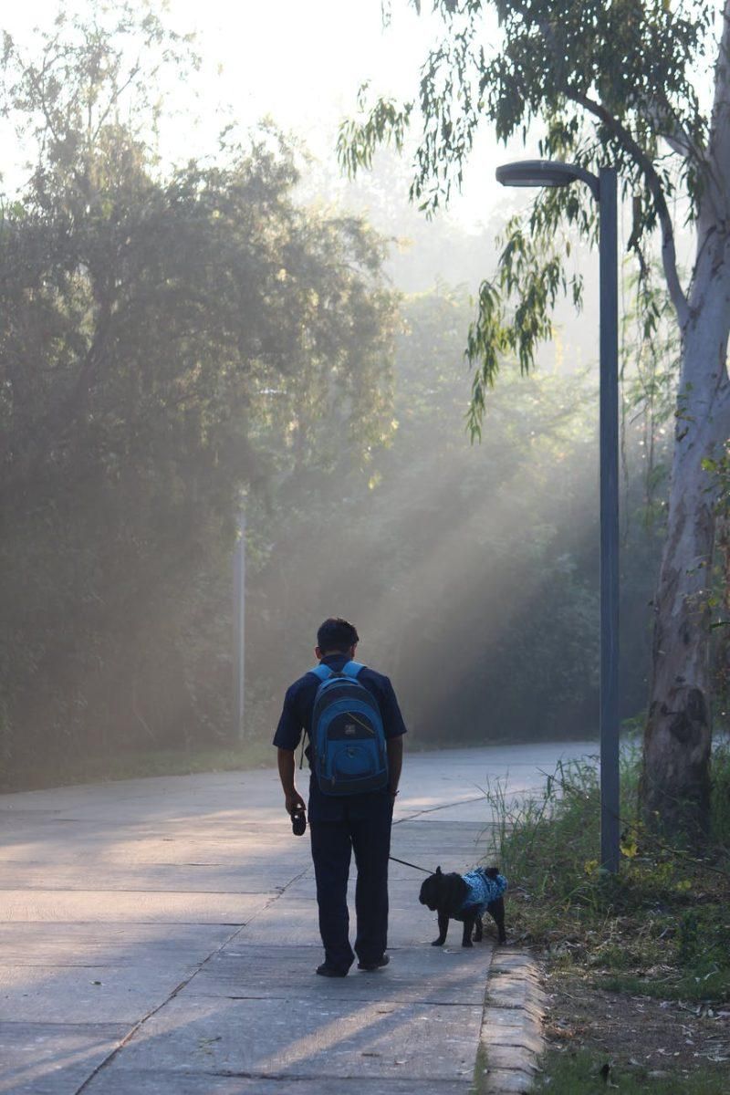Time for Code Red in Delhi, What are GRAP level 4 restrictions?