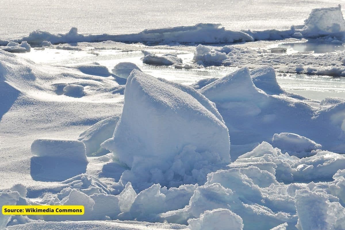 Why Arctic temperature is increasing, and Why that's so alarming?