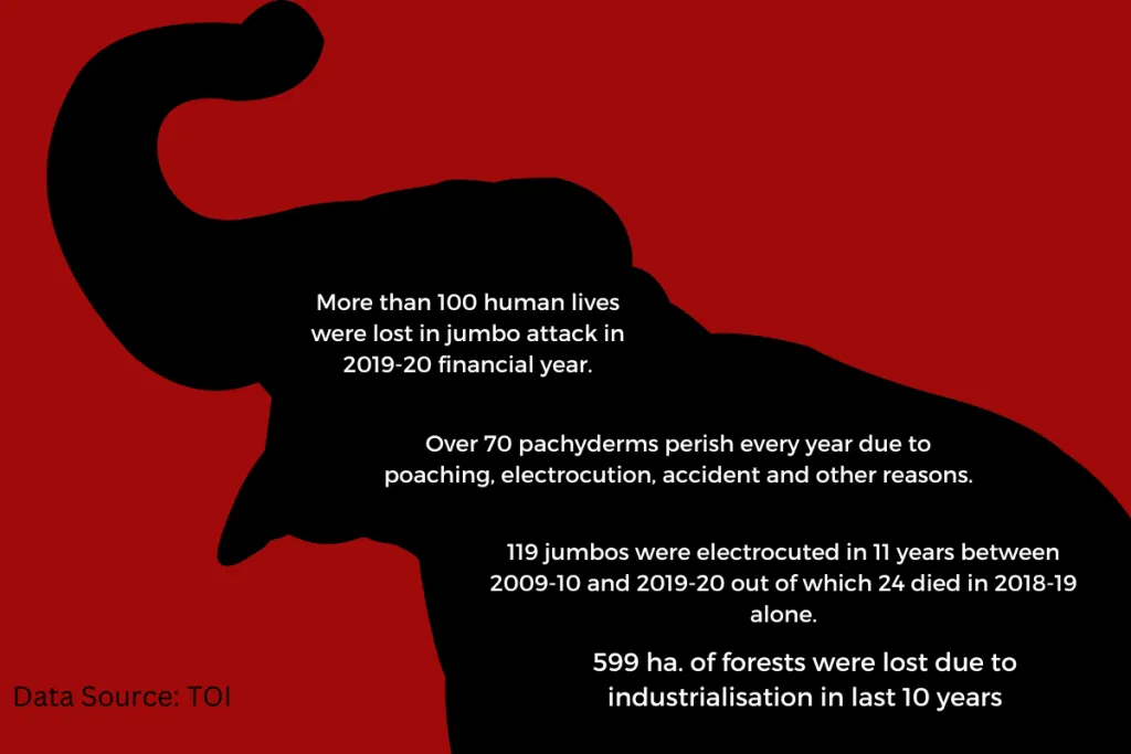 Human animal conflict data in india