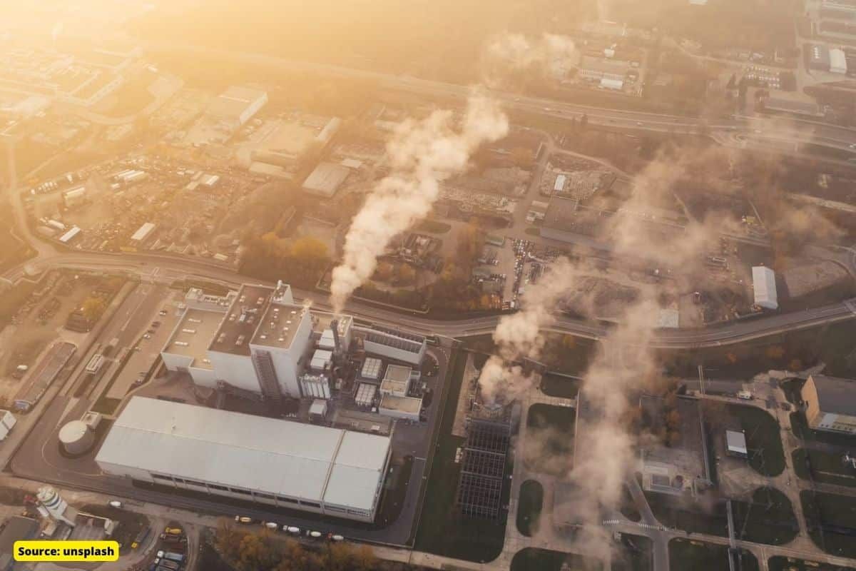 Toxic air pollution particles found in lungs and brains of unborn babies
