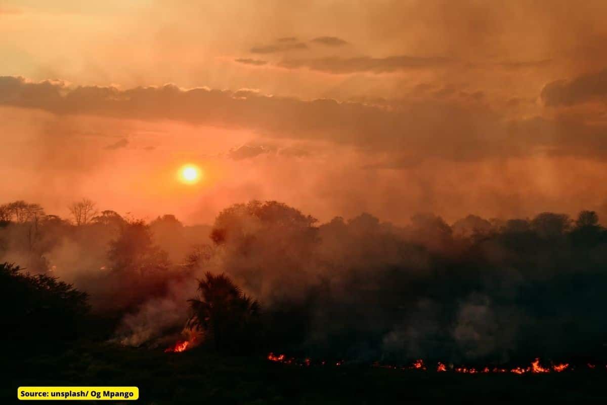 How much Heat waves cost world economy in last 30 years?
