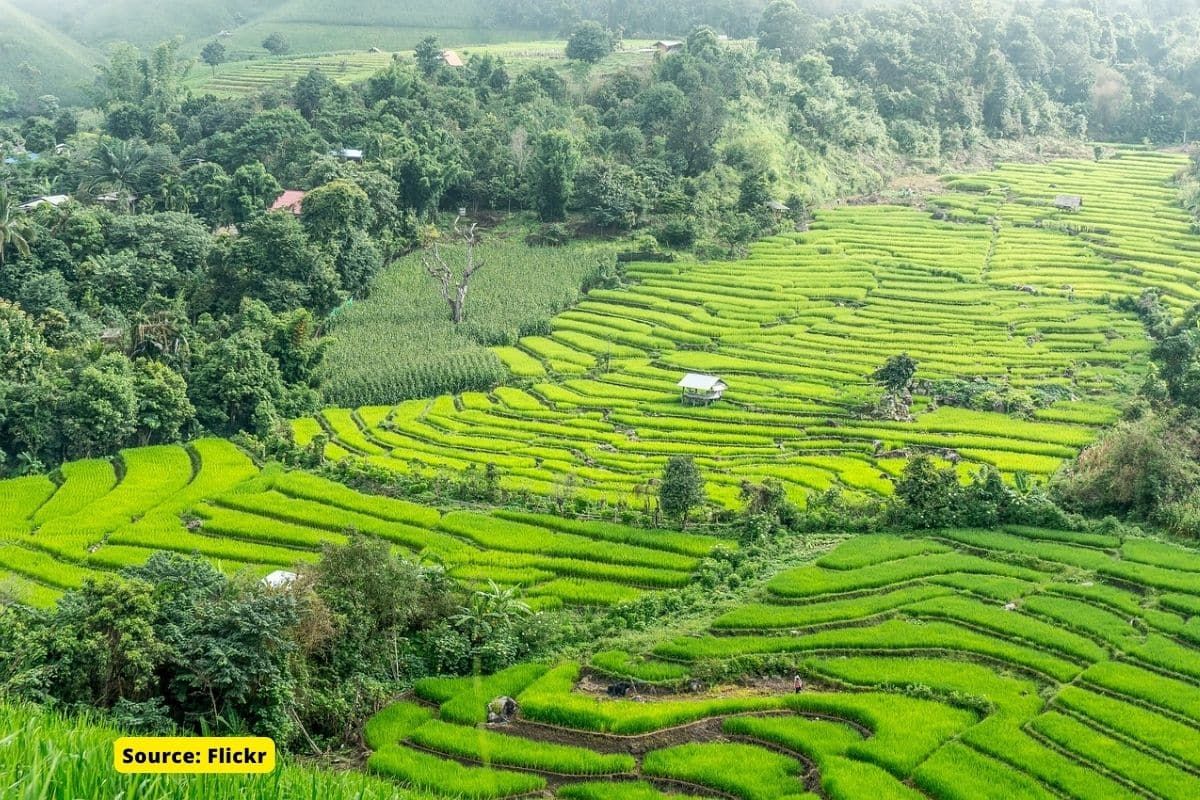 Climate Change and effect on Rice Production in Thailand