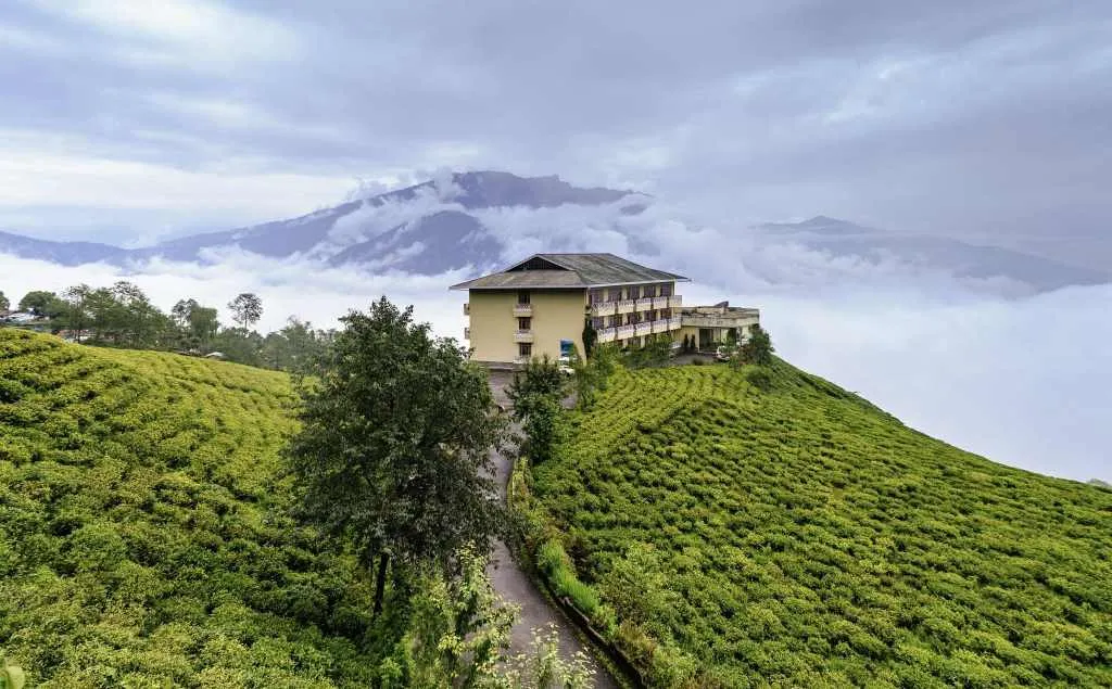 Cherry Resort inside Temi Tea Garden, Namchi, Sikkim | Courtesy: Subhrajyoti07/ Wikimedia Commons