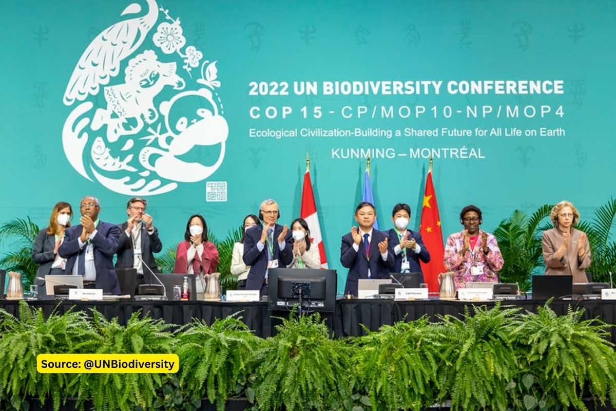 Key takeaways from COP15, Global Biodiversity framework, Explained!