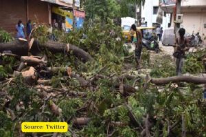 Why are people in Bengaluru against widening of Sankey Road?