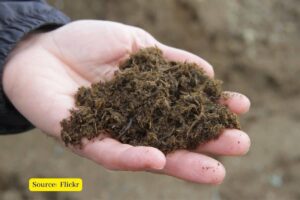 USA: New York authorizes allows composting of bodies after death