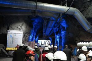 How rare earth metals found in Sweden can affect biodiversity?