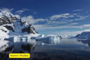 Chemicals in Arctic ice threaten wildlife