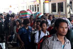 Short-distance migration is crucial in climate adaptation