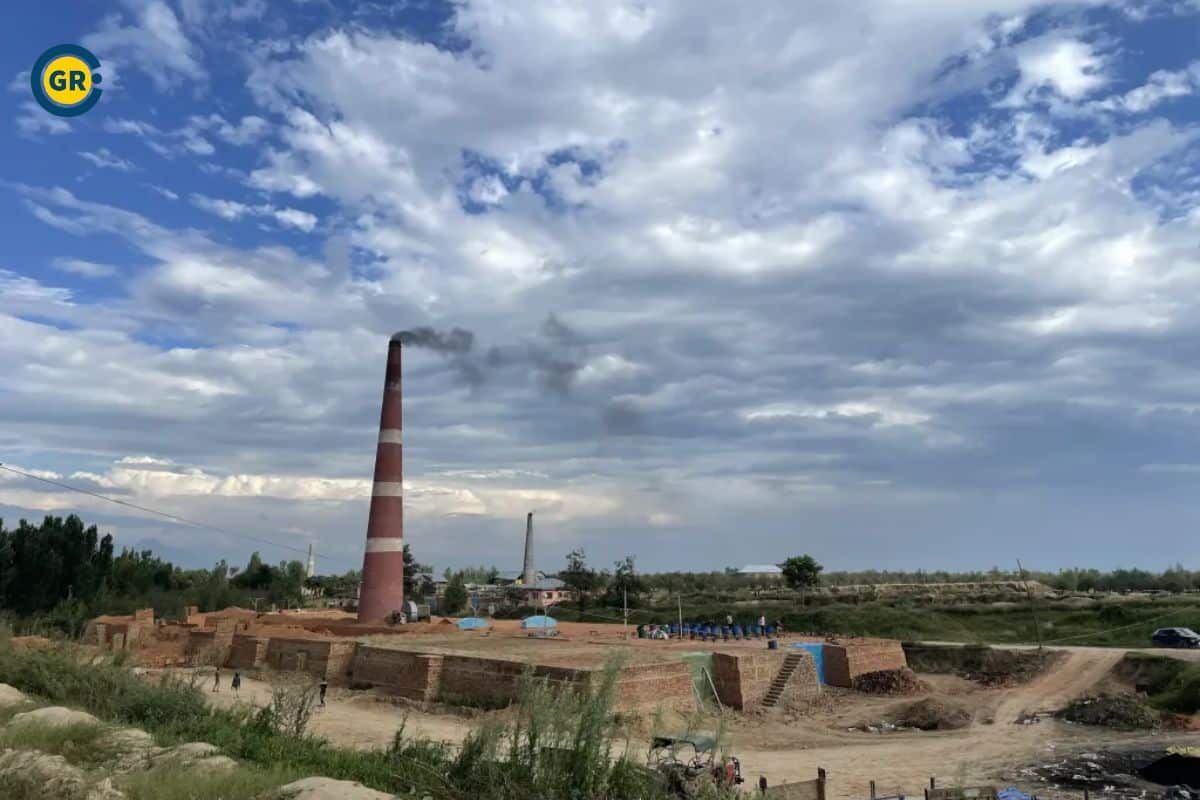 Kashmir losing its Almond Farms for brick kilns, HC issue notice