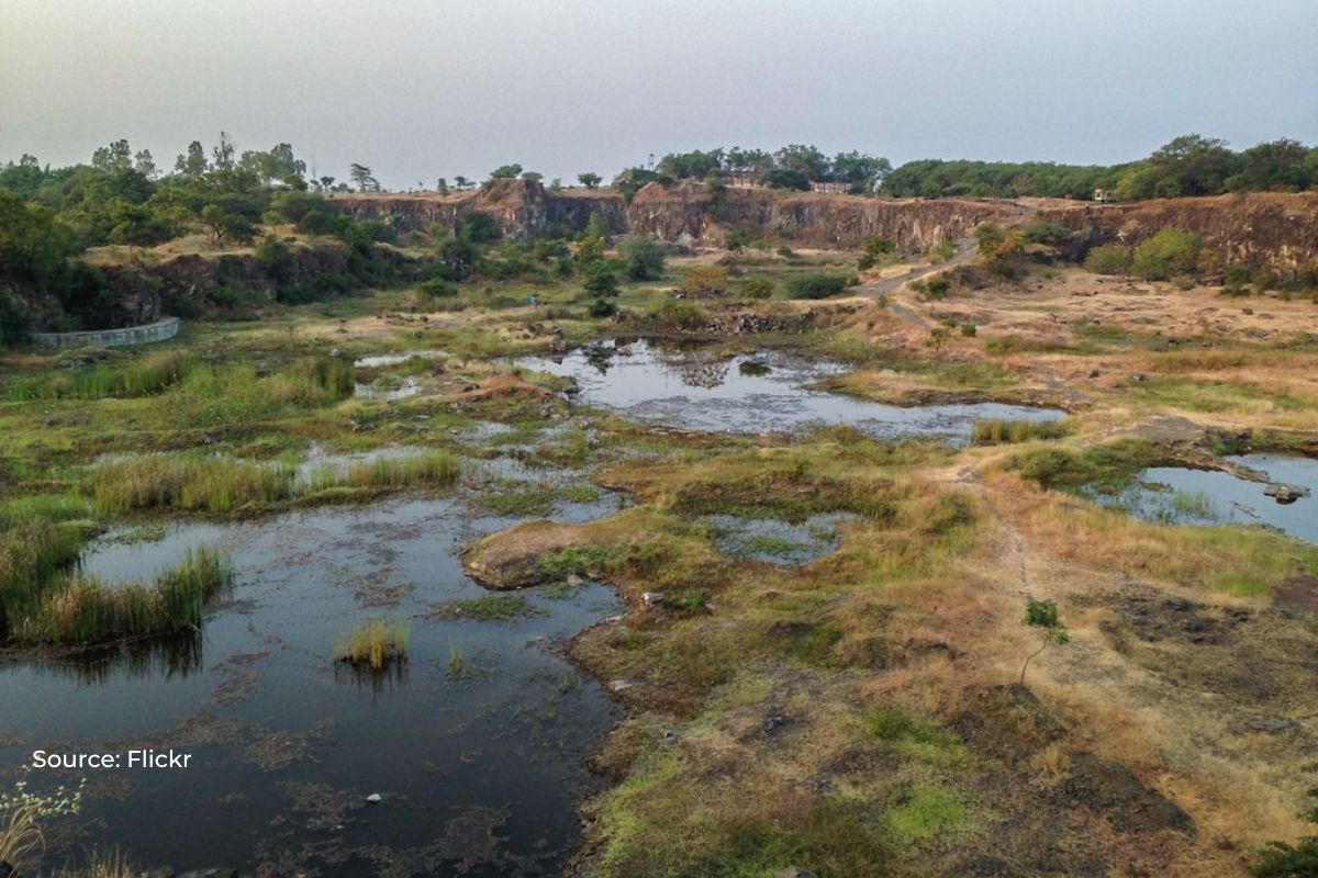 15,301 wetlands encroached in UP, Its highest in the country