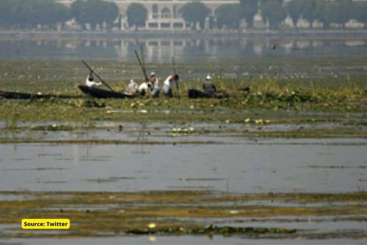 Dal lake and Wular Lake's water holding capacity reduced by 40 to 70%