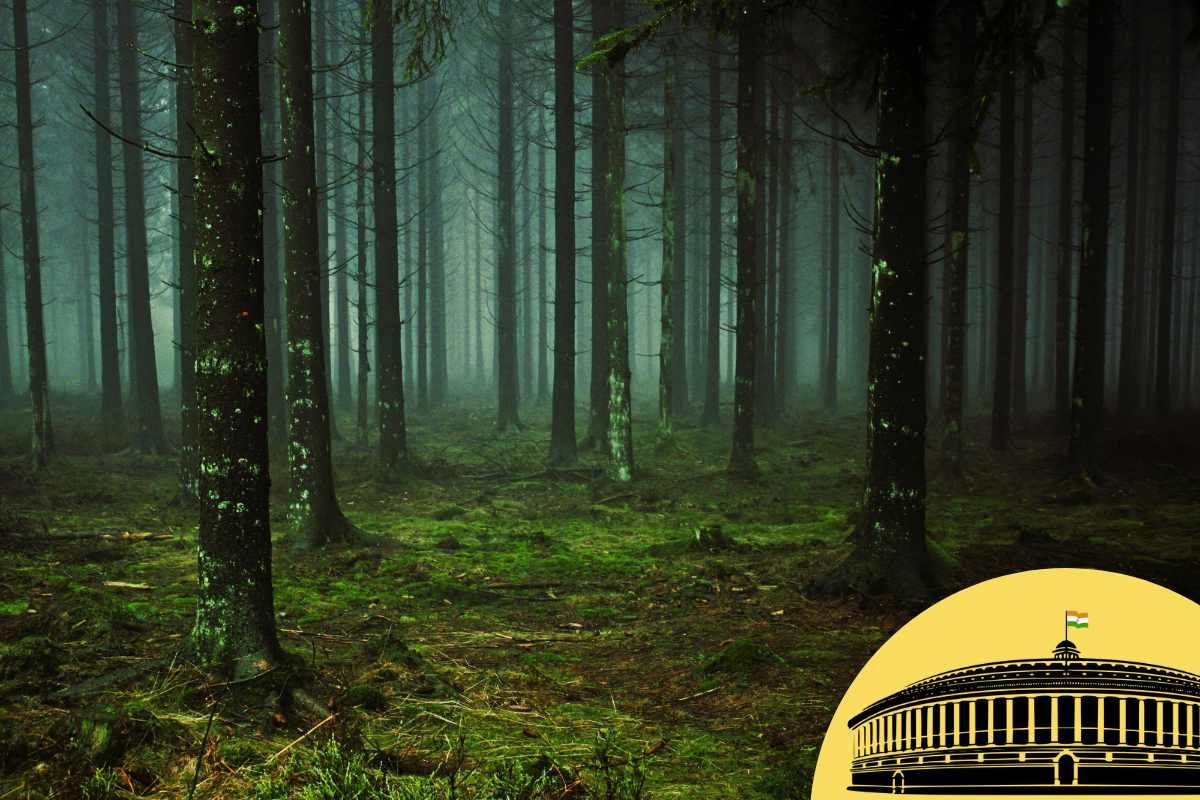 Forest conservation bill 2023 dilutes deemed forests provision