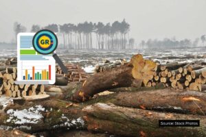 List of states where forest cover decreased in last 4 years