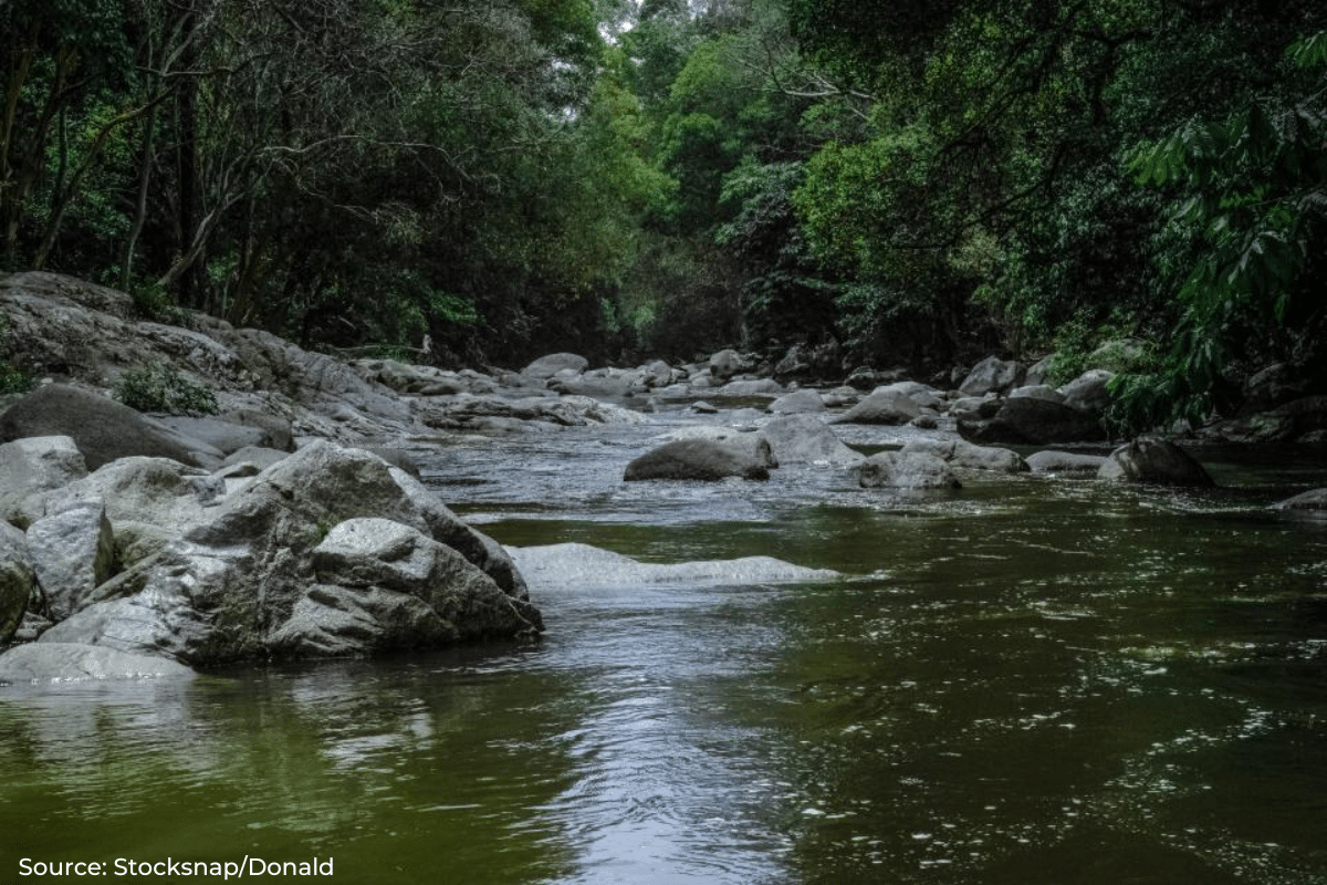 Only 2.9 percent water bodies are in Urban areas in India