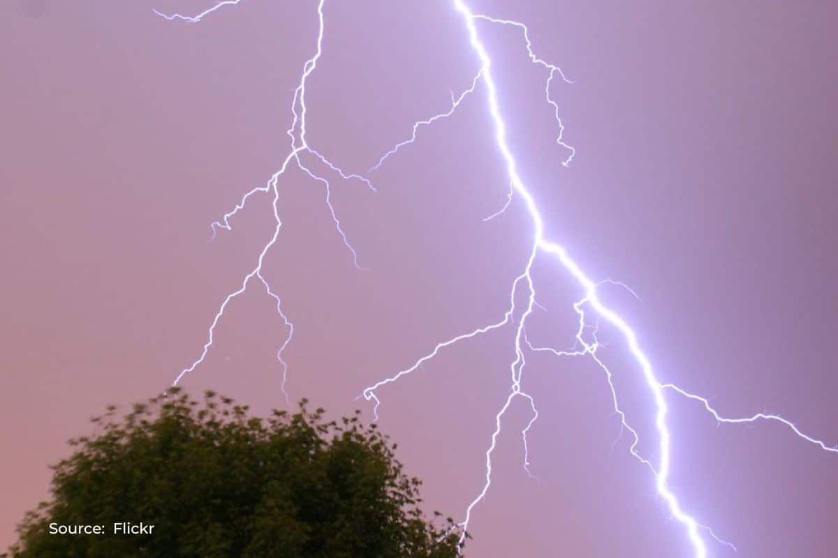 IMD Report: How many people lost life due to lightning strike in 2023?