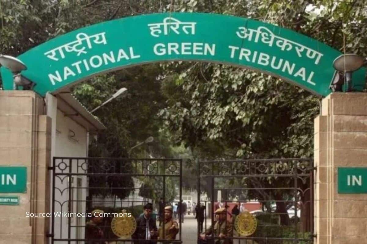 Why NGT stayed Central Govt's Nicobar development project?