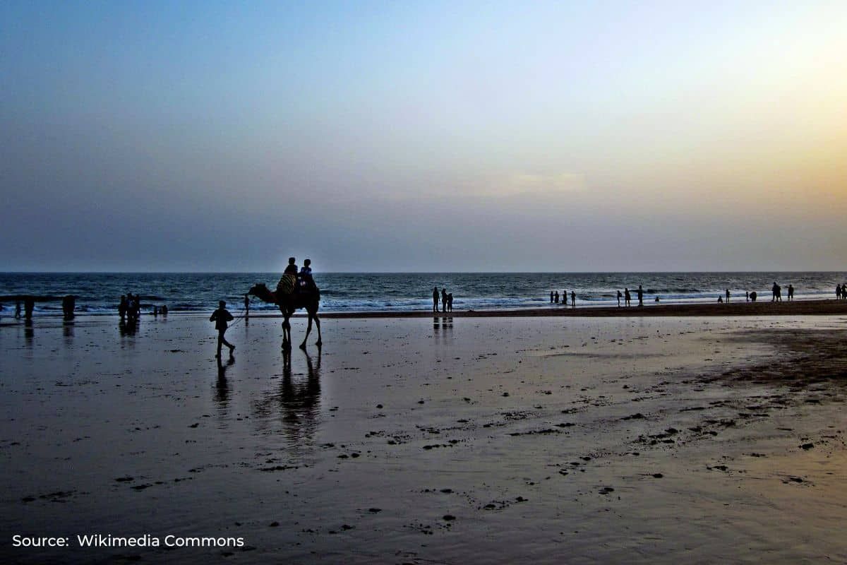 Gujarat’s coastline is shrinking due to erosion but govt is denying