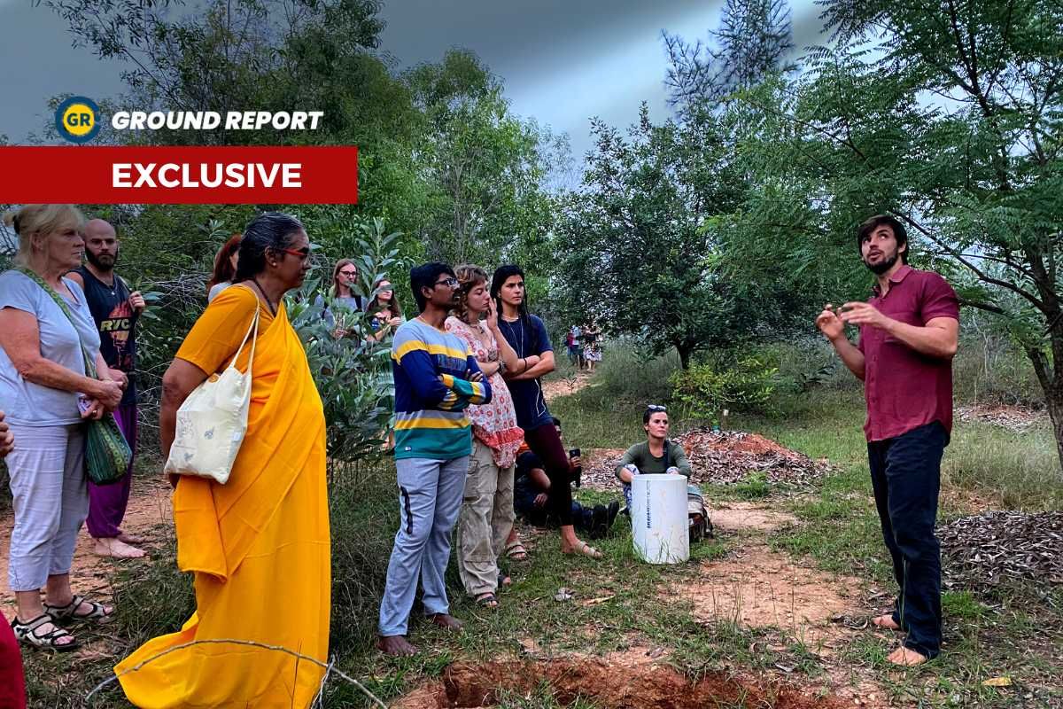 Re-learning life at Sadhana Forest, afforestation, veganism, and more