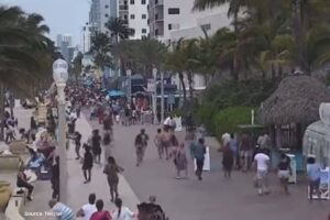 Who is behind Florida’s Hollywood beach mass shootings?