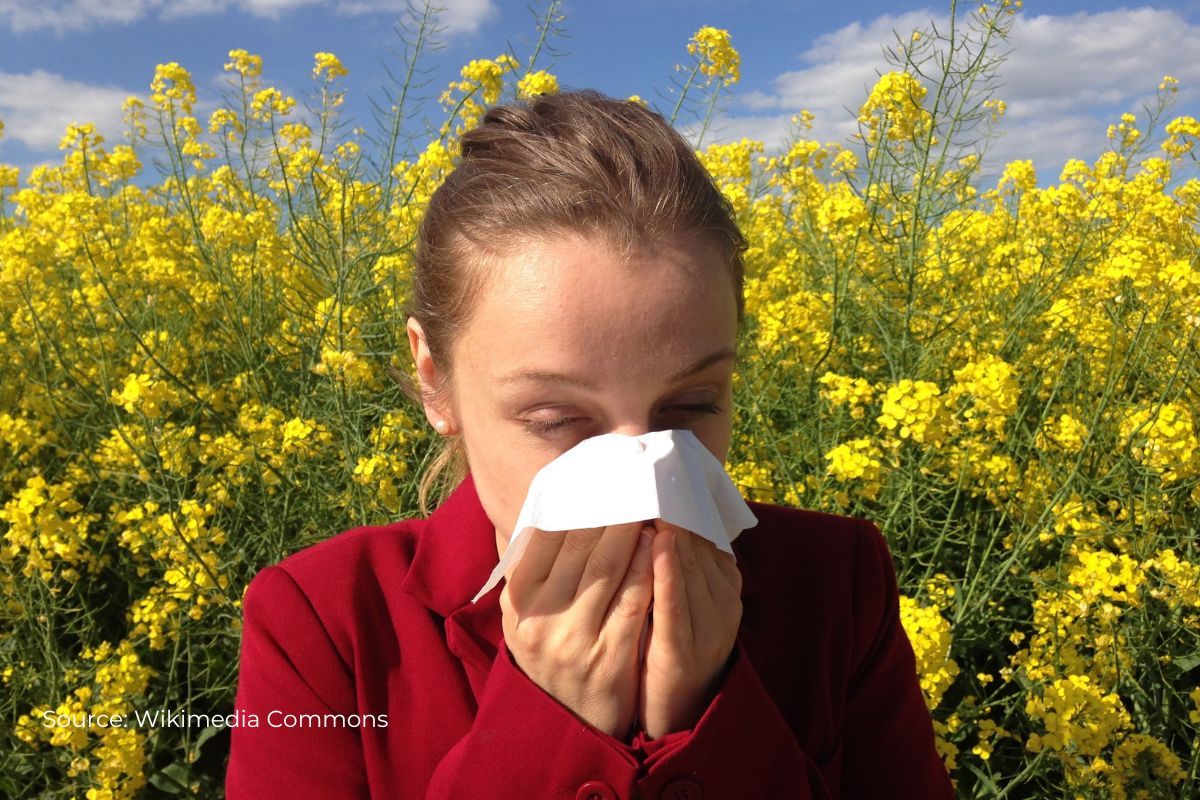Allergy season is getting worse, is climate change behind it?