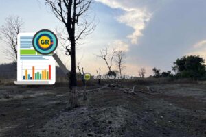 Top 10 countries with the highest deforestation rates