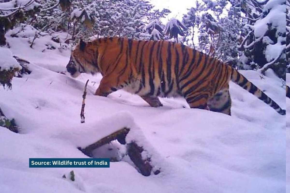 दिबांग अभ्यारण को टाईगर रिज़र्व बनाने के खिलाफ क्यों है अरुणाचल का इदु मिशमी समुदाय?