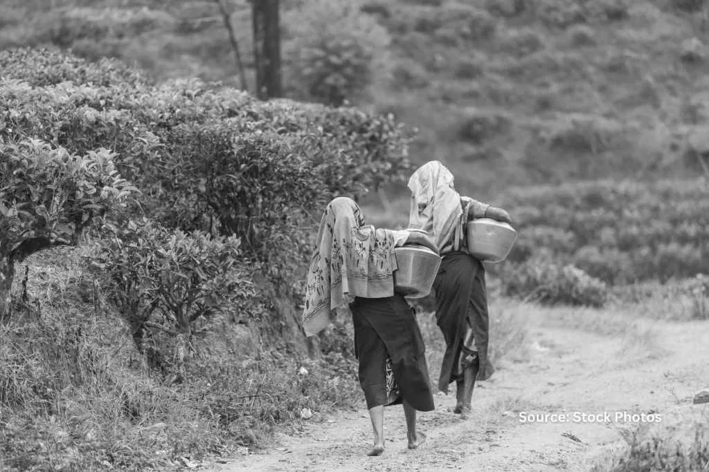 sri lanka food crisis
