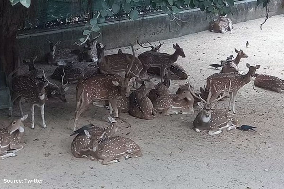 Delhi's Deer Park is closing, know the full story