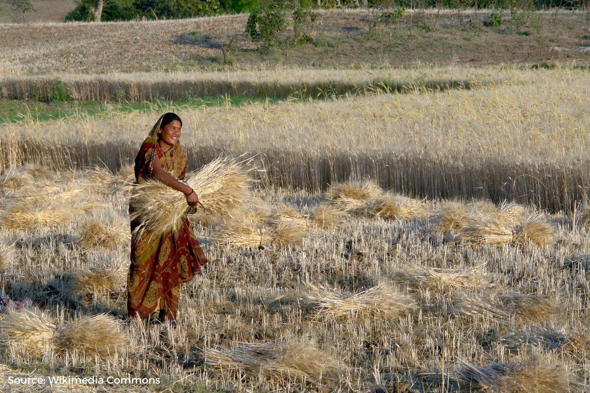 CSE Report: How Madhya Pradesh is leading in agriculture sector?