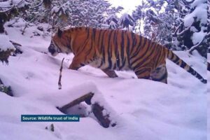 Dibang Sanctuary to be notified as a tiger reserve; Arunachal’s Idu Mishmi community protests