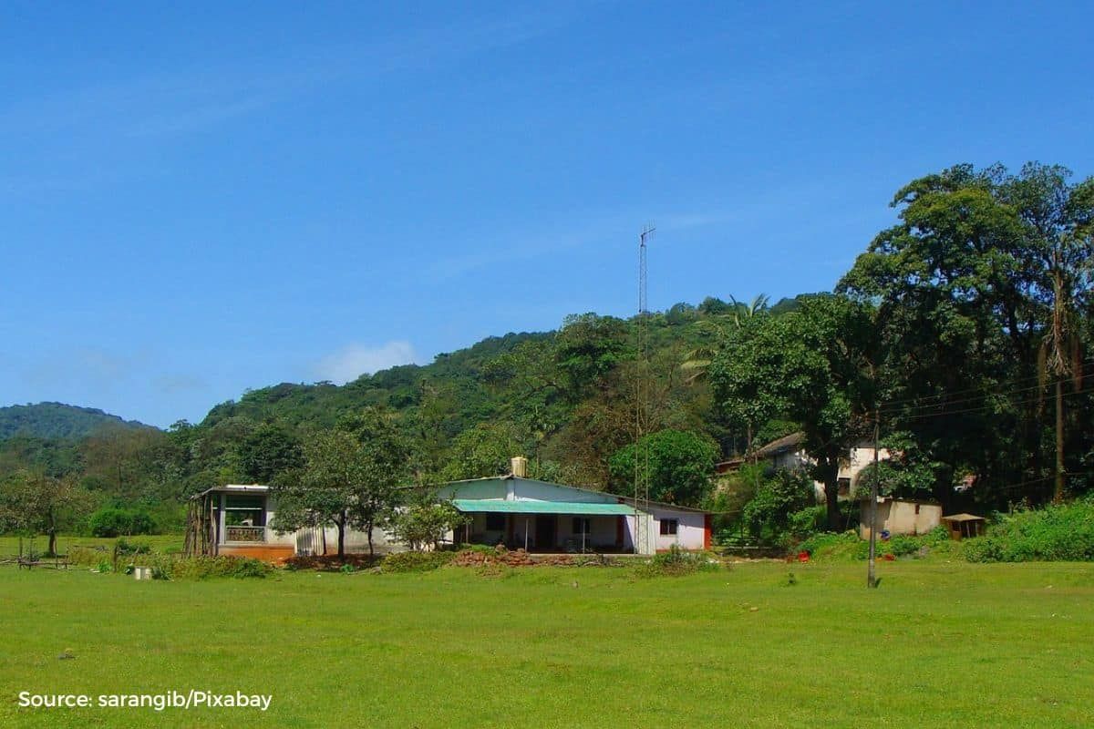 1.86 lakh square metres of Goa’s natural cover converted into settlement
