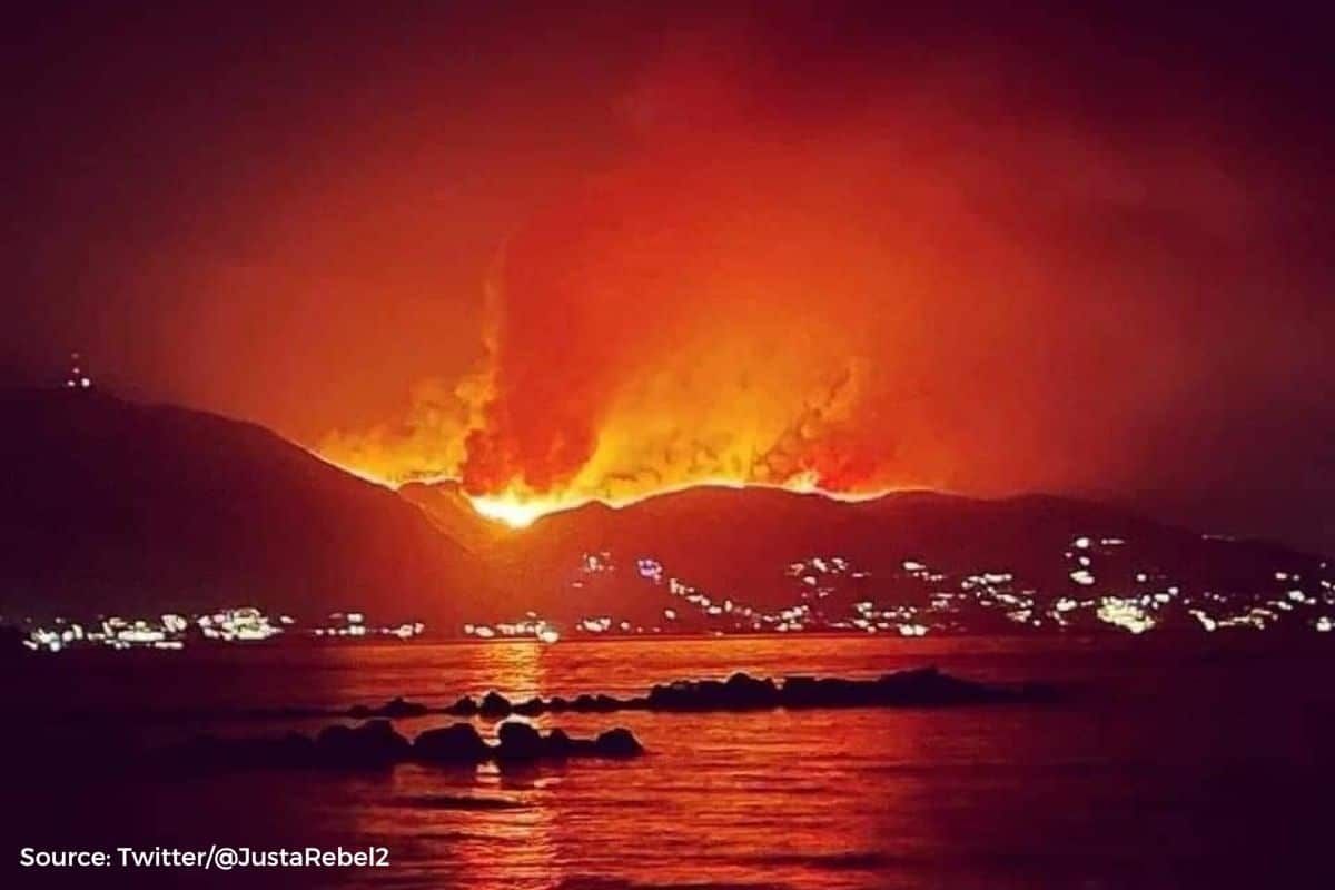 Greece wildfires: These areas are highly affected in the country, see data