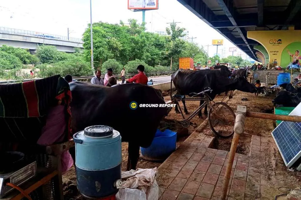 delhi floods 2023 victims