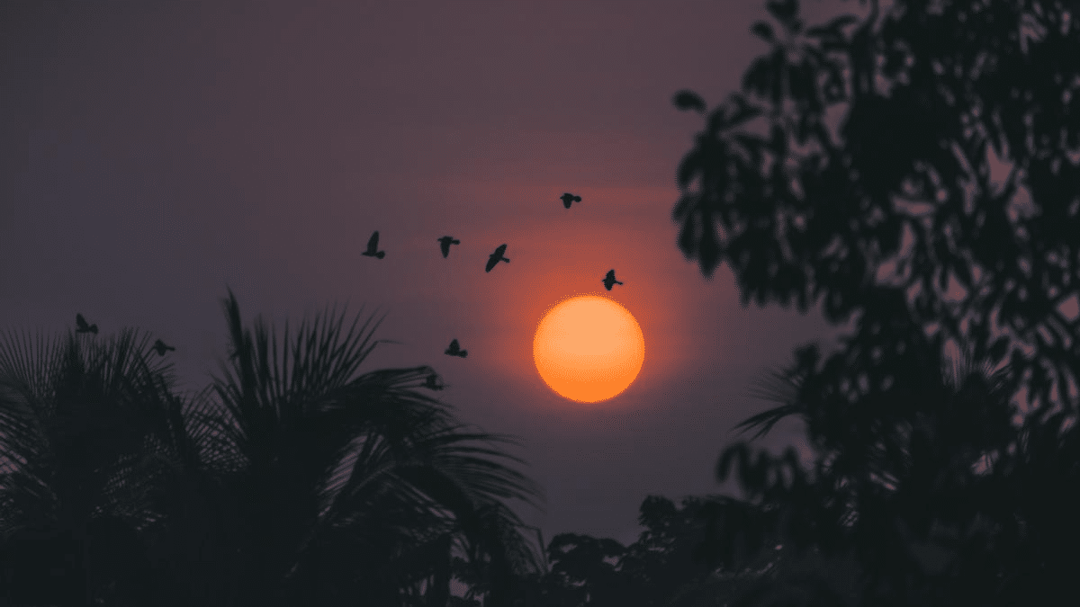 From 1.5°C to 2.0°C: Africa faces extreme heat surge as climate targets exceeded