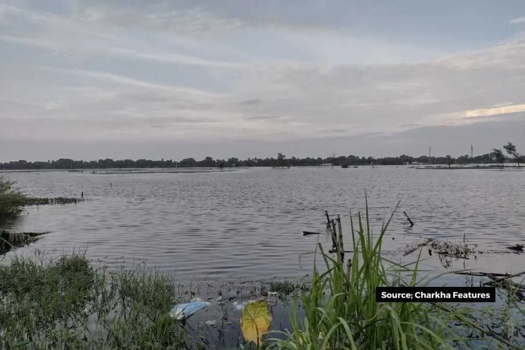 Control of climate change that is possible only through green cover