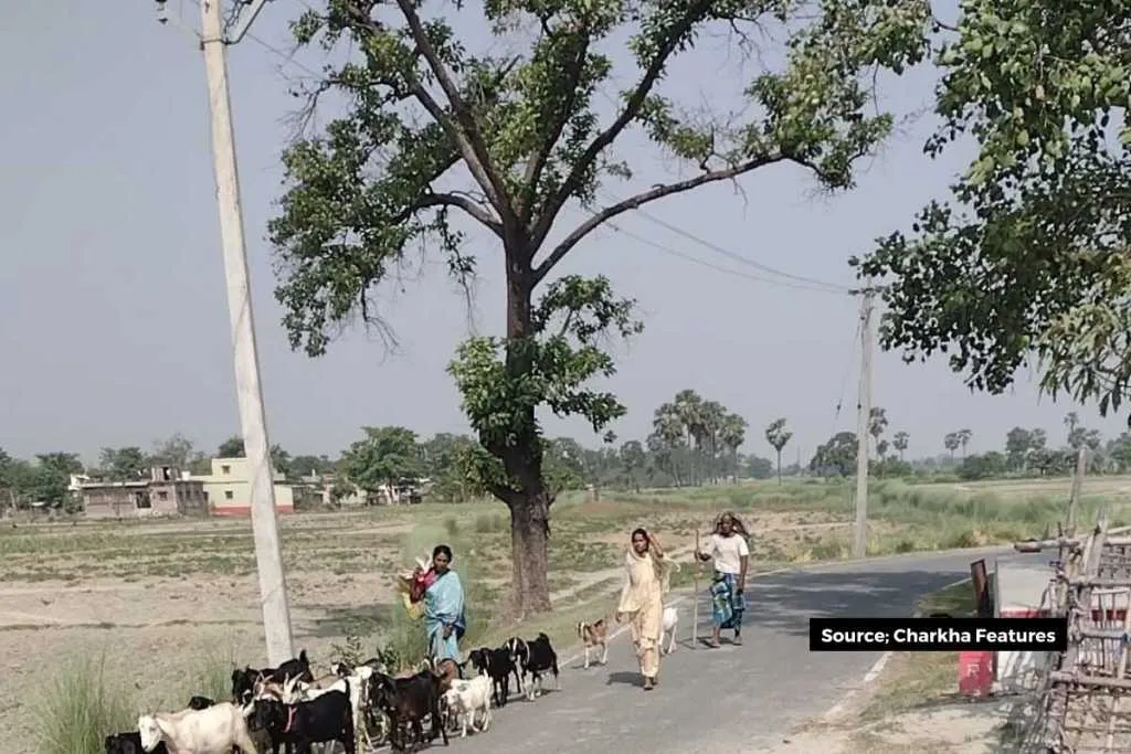 Control of climate change that is possible only through green cover