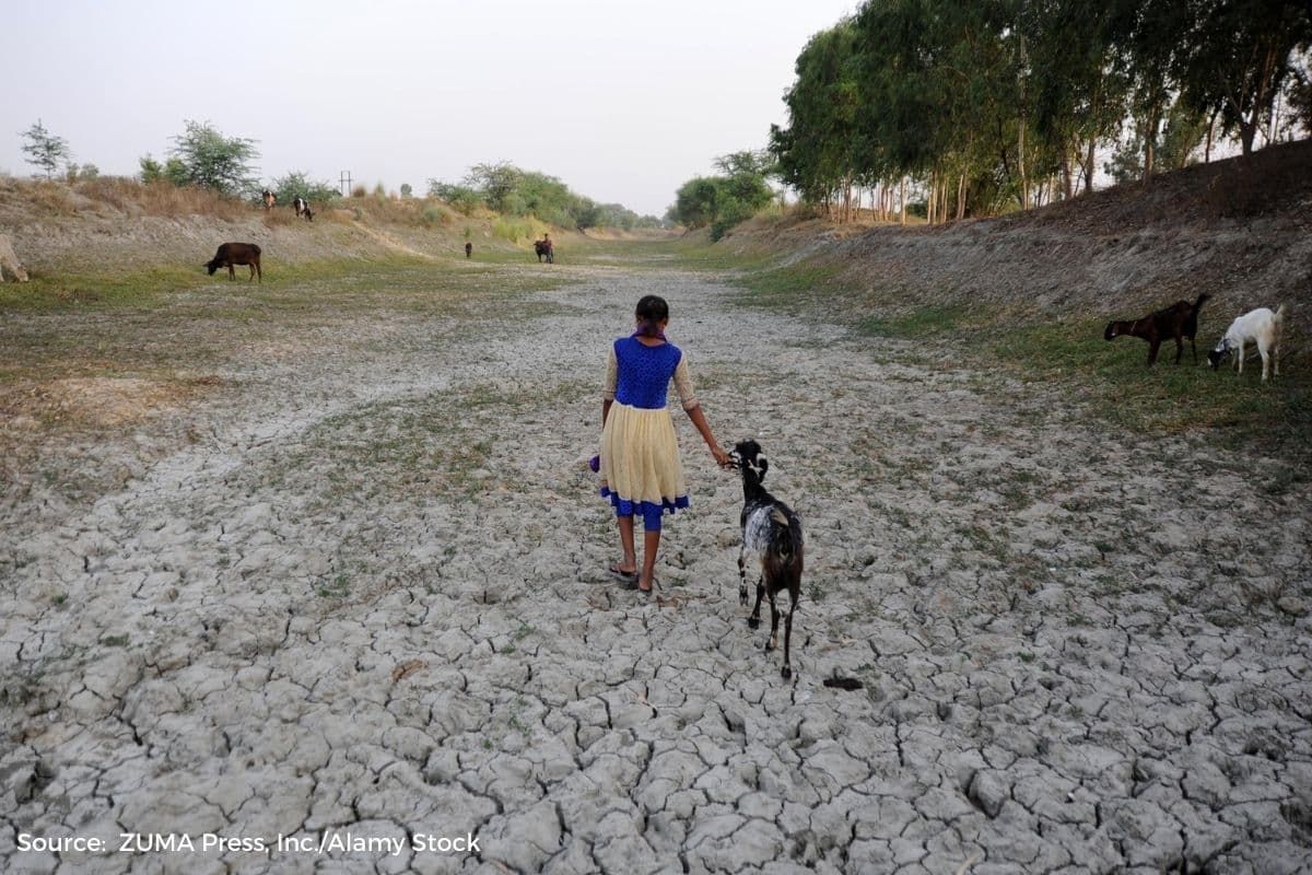 Climate change: atypical heat of July was felt by almost entire planet